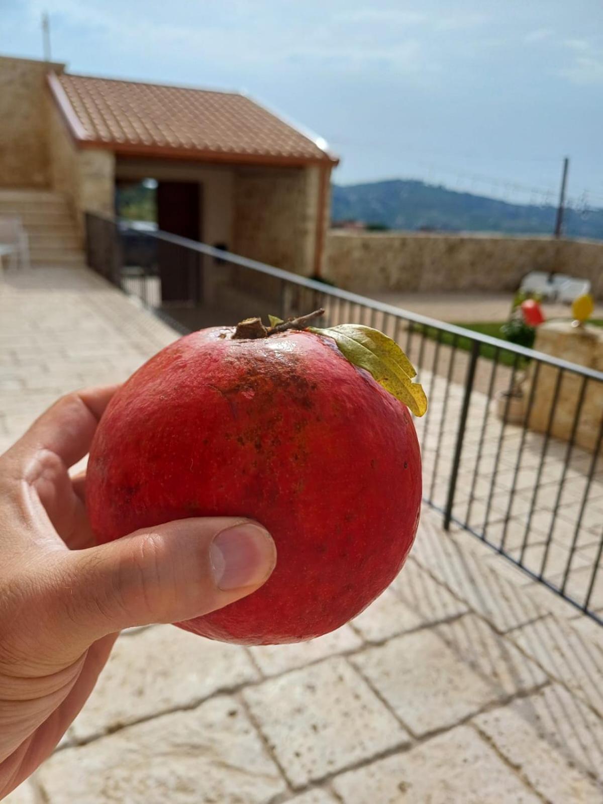 Masseria Torre Saracena Agrigento Exterior photo